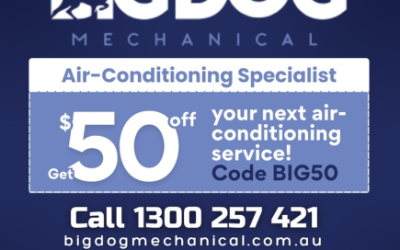 Promotional offer – Terms & Conditions